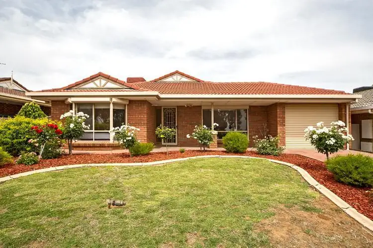 17 Taunton Crescent, Craigmore SA 5114