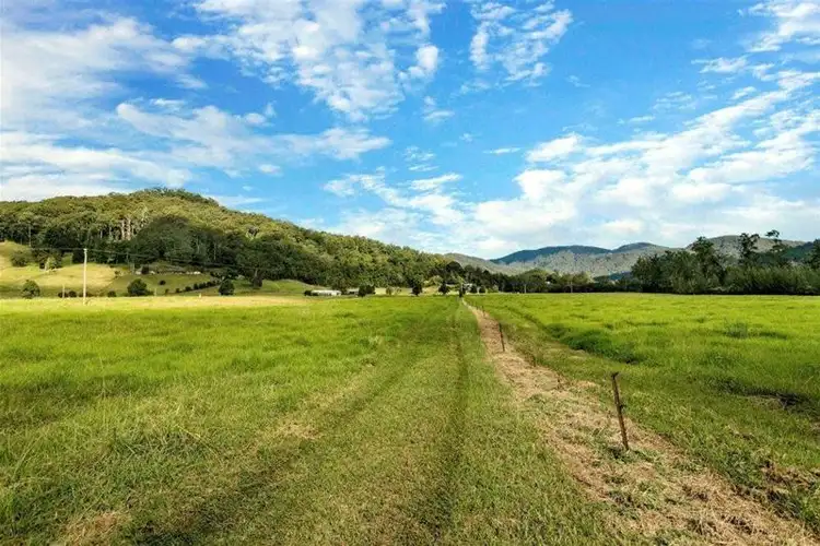 Sixth view of Homely rural property listing, 420 South Island Loop Road, Upper Orara NSW 2450