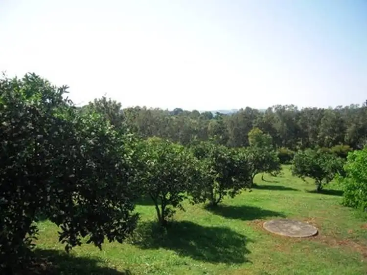 Seventh view of Homely house listing, 1 Pearson Road, Mcleans Ridges NSW 2480