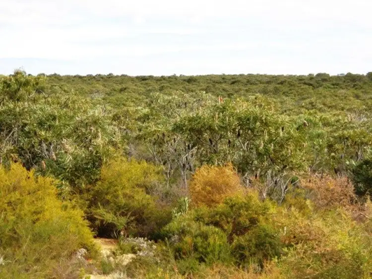 Fifth view of Homely land listing, Lot 16 Wren Way, Jurien Bay WA 6516
