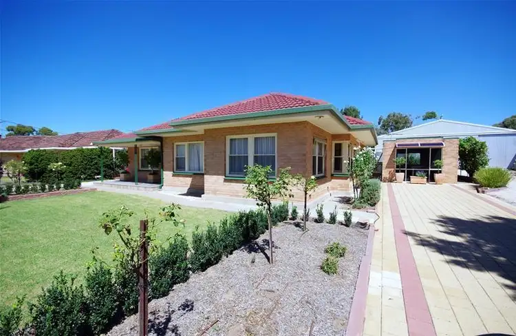 Main view of Homely house listing, 19 North Terrace, Minlaton SA 5575