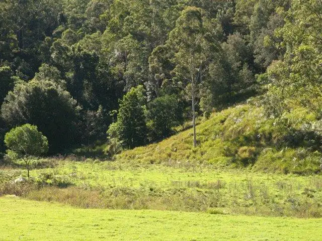 Main view of Homely rural property listing, Lot 2 Bunning Creek Road, Yarramalong NSW 2259