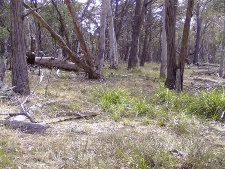 Third view of Homely rural property listing, 804 Mt Vincent Road, Ilford NSW 2850