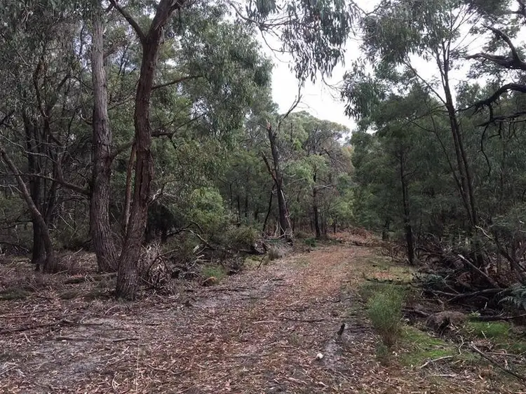 Sixth view of Homely rural property listing, 370 Long Gully Road, Pomonal VIC 3381