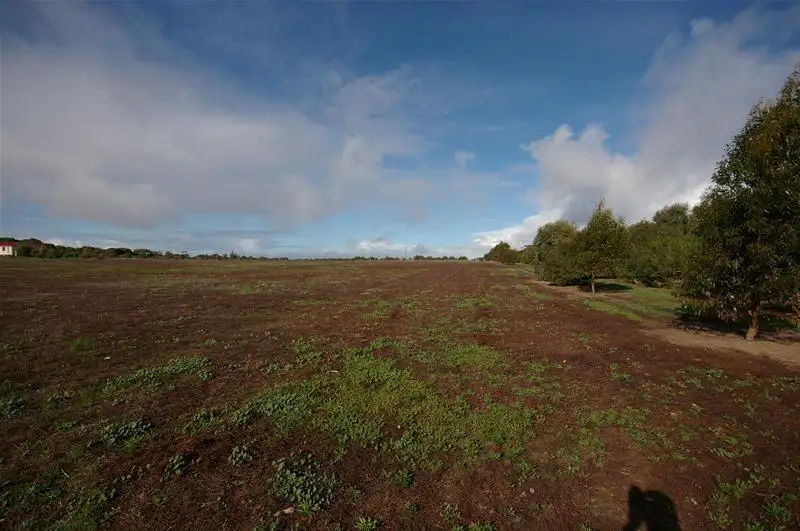 Main view of Homely land listing, 17 Public Road, Yorketown SA 5576