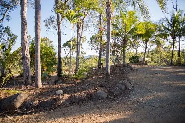 38 Dorothy Road, Cannon Valley QLD 4800
