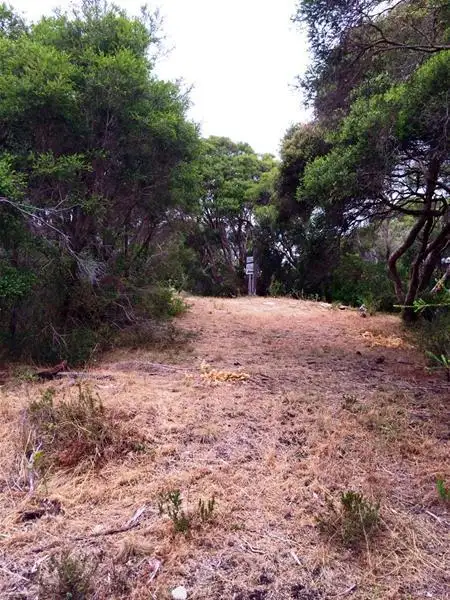 6 Cooraminta Road, Rye VIC 3941