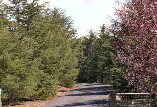 Sixth view of Homely house listing, 1 Shearsby Crescent, Yass NSW 2582