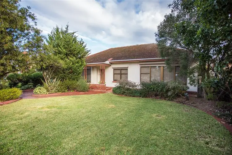 3 Acacia Avenue, Glenelg North SA 5045