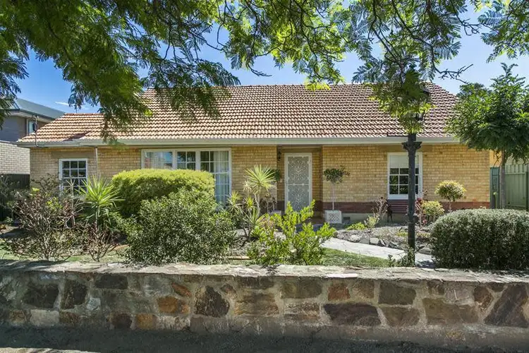 Third view of Homely house listing, 3 Elm Terrace, Glenelg North SA 5045