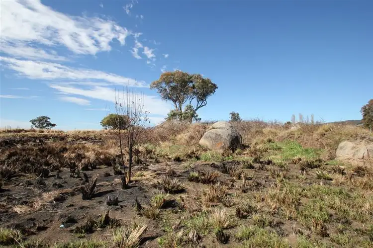 Third view of Homely land listing, Lot 14 East Street, Tenterfield NSW 2372