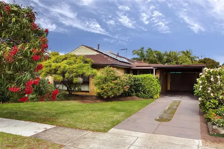 Main view of Homely house listing, 19 Freda Street, Netley SA 5037