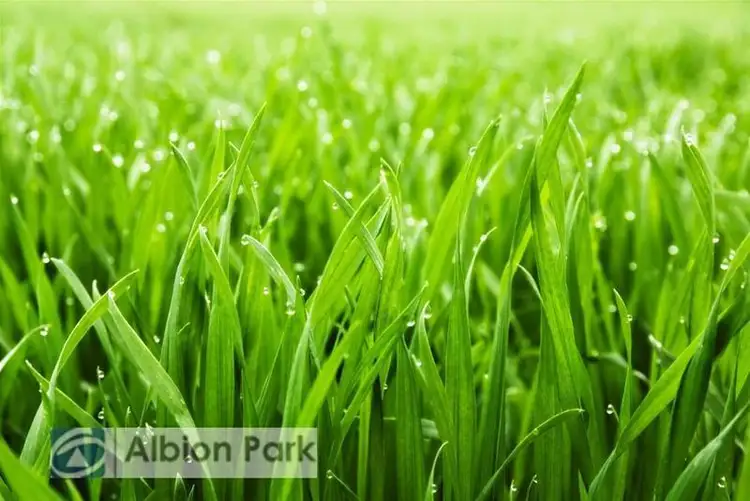 Main view of Homely land listing, Address available on request