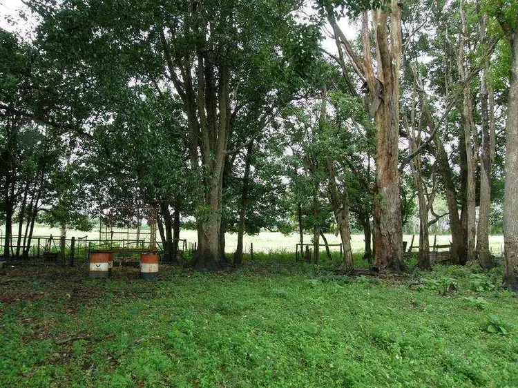 Fourth view of Homely land listing, 44-46 Union Street, Coraki NSW 2471