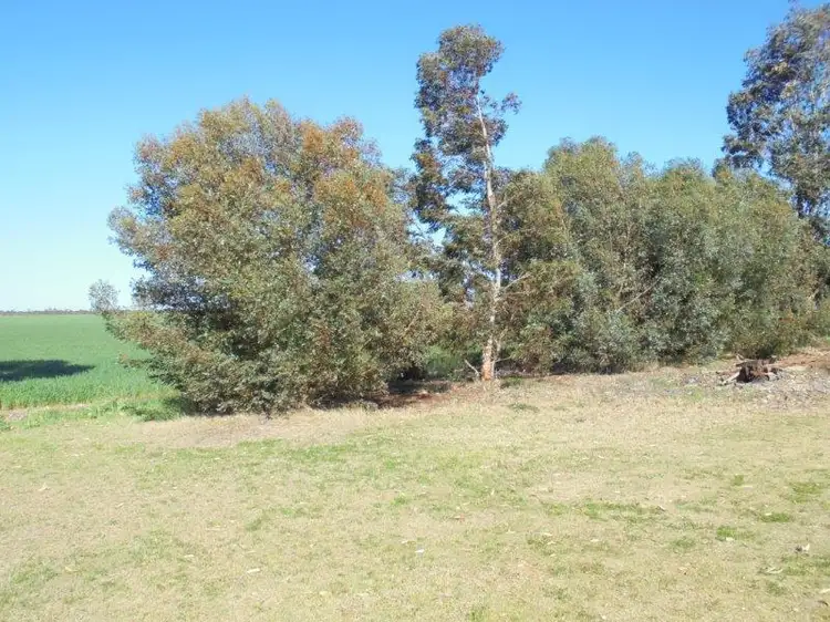 Seventh view of Homely land listing, 224 Greenways Road, Nildottie SA 5238