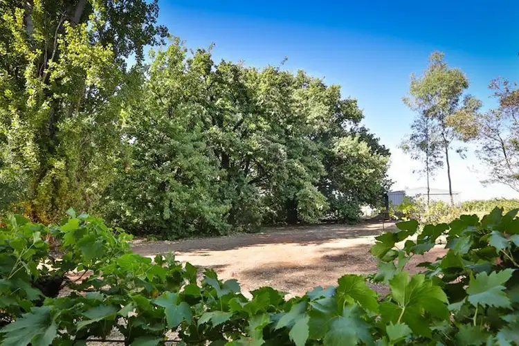Sixth view of Homely land listing, 40 Swan Street, Irymple VIC 3498