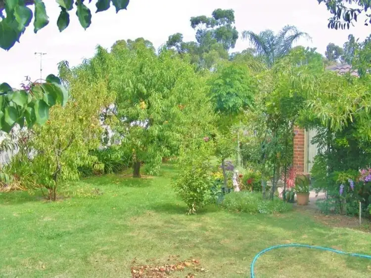 Seventh view of Homely house listing, 11 Henley Close, Kyabram VIC 3620