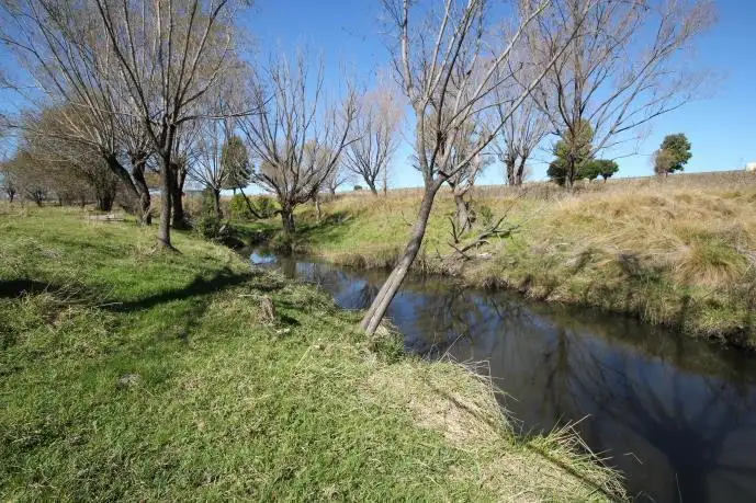 Main view of Homely land listing, Lot/2 Branch Creek, Tenterfield NSW 2372