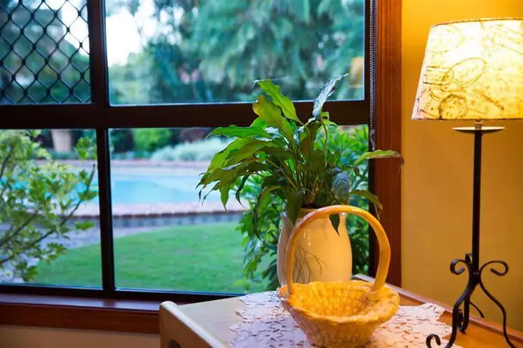 Sixth view of Homely house listing, 14 Caesar Court, Sunnybank Hills QLD 4109
