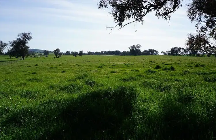 Third view of Homely rural property listing, 175 Carters Lane, Binalong NSW 2584