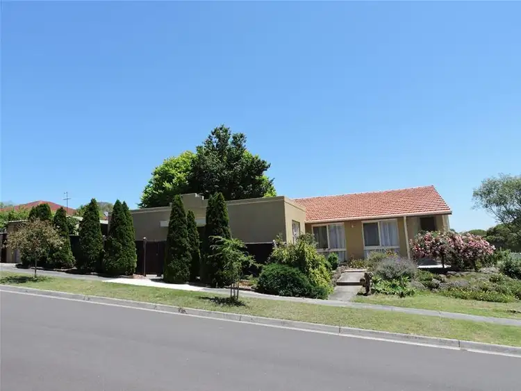 Third view of Homely house listing, 61 Essex Park Drive, Endeavour Hills VIC 3802