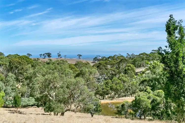 Fourth view of Homely rural property listing, 270 Thomas Hill Rd (Adjacent McLaren Vale), The Range SA 5172