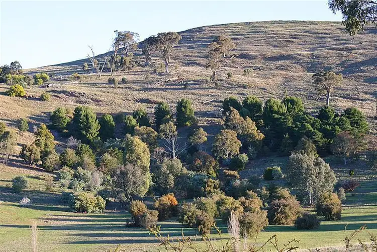 Fifth view of Homely rural property listing, 16 Jeffery Lane, Landsborough VIC 3384