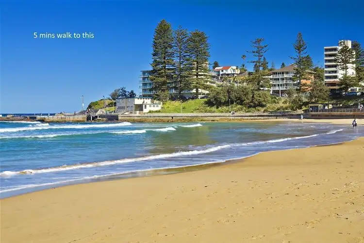 Sixth view of Homely unit listing, 1/66 Howard Avenue, Dee Why NSW 2099