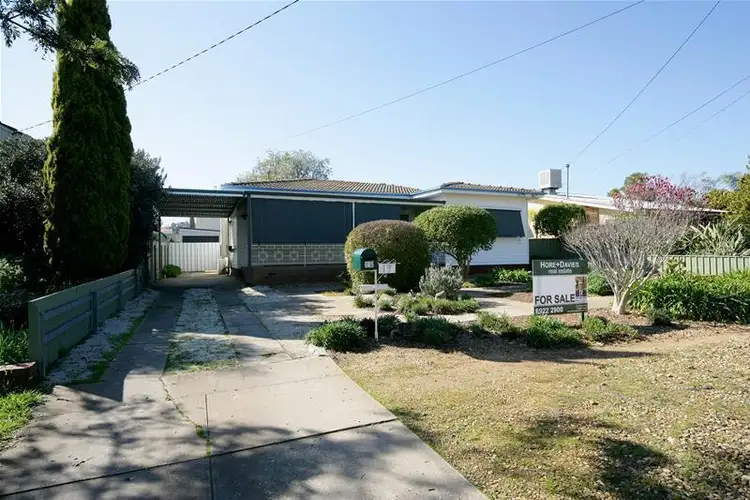 19 Raye Street, Wagga Wagga NSW 2650
