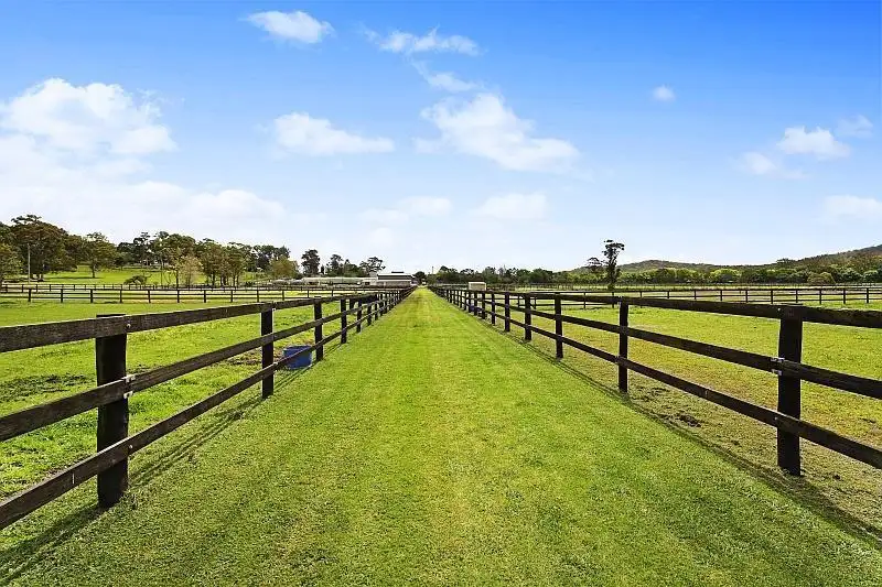Main view of Homely rural property listing, 315 Jilliby Road, Jilliby NSW 2259