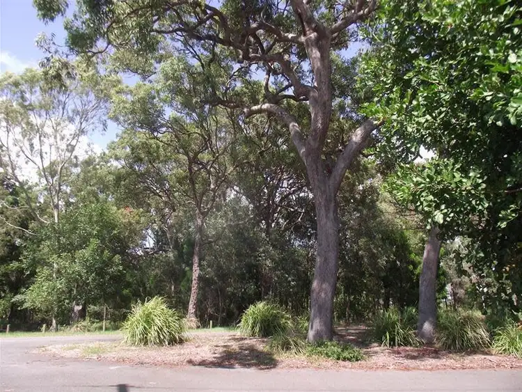 Fifth view of Homely unit listing, 5/49 The Boulevard, Bongaree QLD 4507