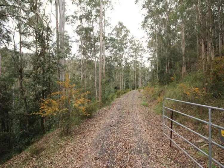 Fifth view of Homely house listing, 350 Bunning Creek Road, Yarramalong NSW 2259