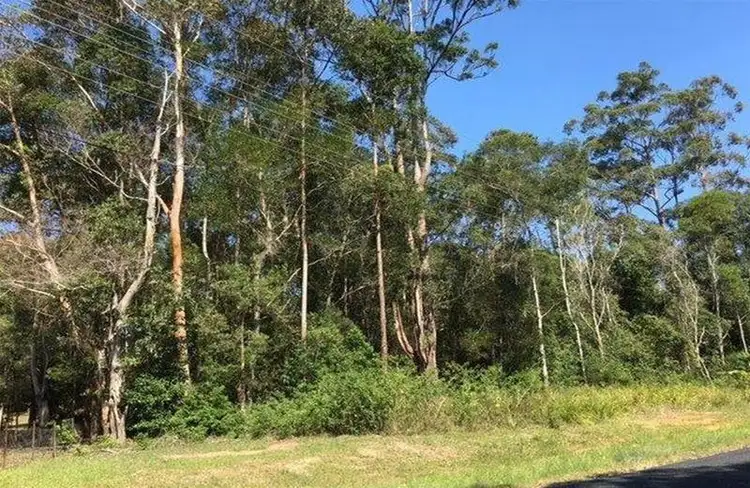Lot 29 Grandis Road, Bonville NSW 2450