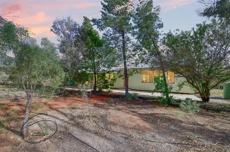 Main view of Homely house listing, 53 Lillecrapp Road, Ilparpa NT 873