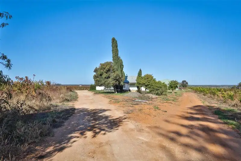 Main view of Homely house listing, 353 Twentieth Street, Cardross VIC 3496