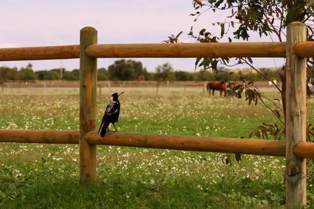 Third view of Homely land listing, LOT 295/106 Eastlyn Drive, Deepdale WA 6532