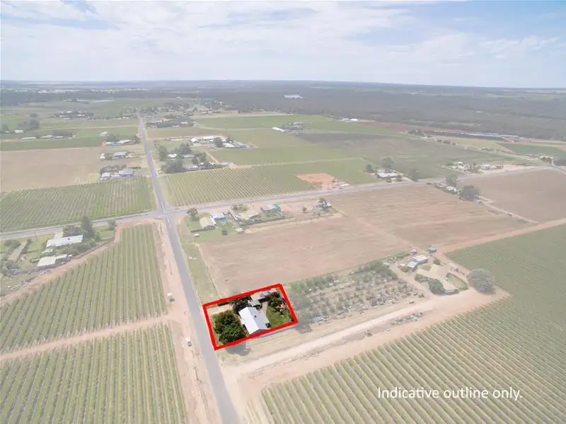 Main view of Homely house listing, 334 Irymple Avenue, Nichols Point VIC 3501