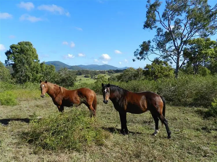 Fifth view of Homely rural property listing, 1 (Lot 1) Nicholson Road, Sarina QLD 4737