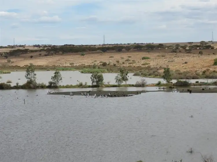 Third view of Homely land listing, Lot 51 'Reedy Creek Rise' Gerogles Road, Caloote SA 5254