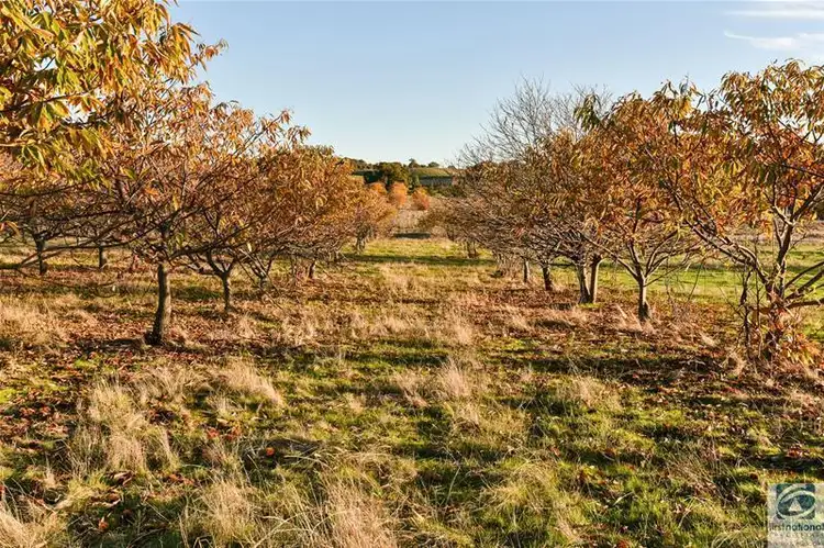 Fourth view of Homely land listing, 9 Lawrie Road, Beechworth VIC 3747