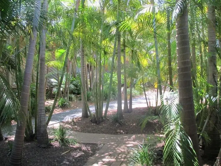 Fourth view of Homely house listing, 54/2 Aanuka Beach Resort, Firman Drive, Coffs Harbour NSW 2450