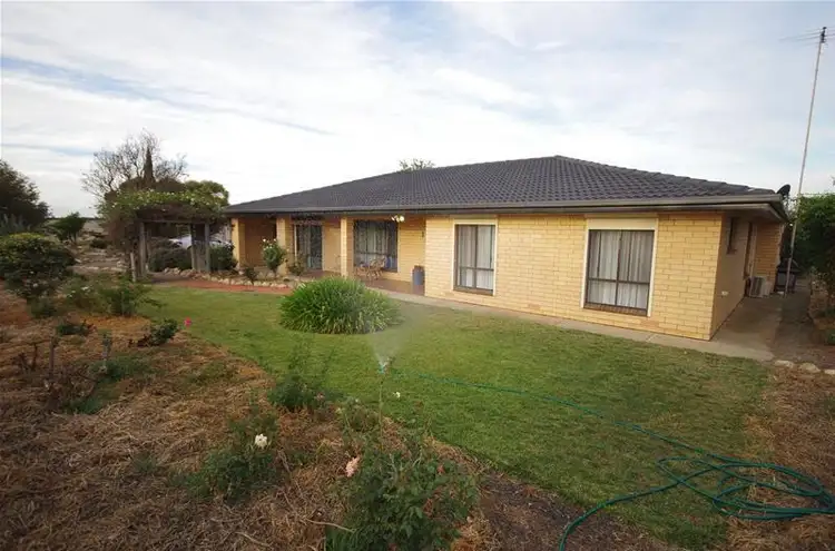 131 Harry Butler Road, Minlaton SA 5575