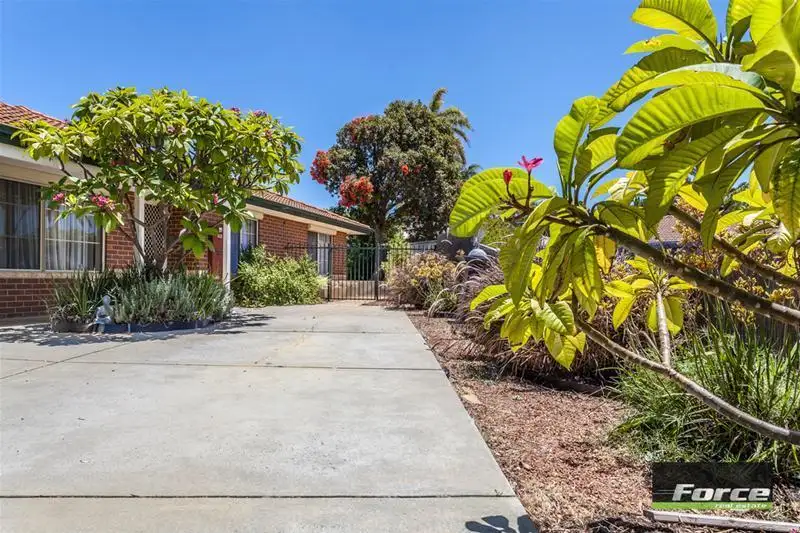 Main view of Homely semi-detached listing, 11b Nilsen Ridge, Clarkson WA 6030