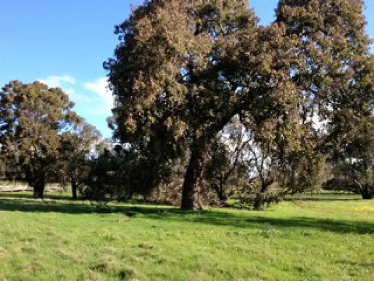 Seventh view of Homely land listing, 17 Kalimna Way, Boddington WA 6390