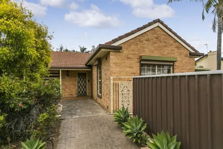 6 Cobham Avenue, Morphettville SA 5043