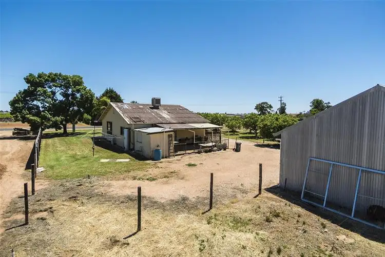 Sixth view of Homely house listing, 1226 Karadoc Avenue, Irymple VIC 3498