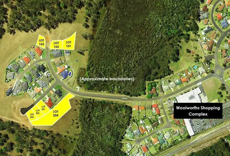 Main view of Homely land listing, 43 Botanic Drive, Lakewood NSW 2443