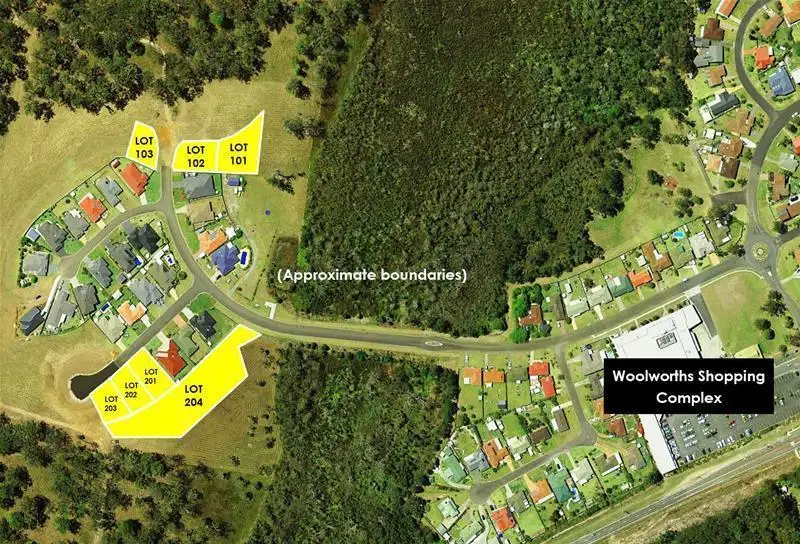 Main view of Homely land listing, 43 Botanic Drive, Lakewood NSW 2443