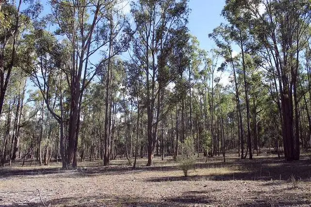 Sixth view of Homely rural property listing, 369 Donald Road, Armidale NSW 2350