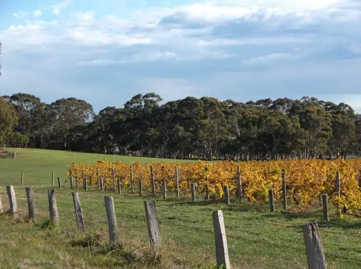 Fifth view of Homely house listing, 65 Days Road, Kangarilla SA 5157